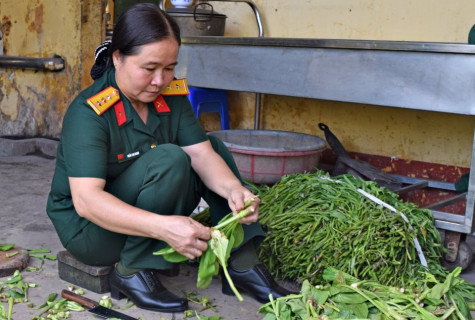 Tết này con không về...