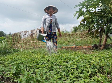 Mong mùa xuân trọn vẹn