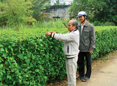 Góp sức xây dựng làng quê