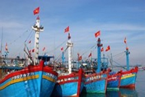Hỗ trợ 35% giá trị đầu tư đóng mới tàu khai thác xa bờ, tàu dịch vụ hậu cần