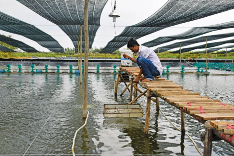Sức vươn của xã vùng ven