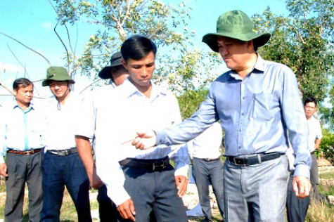 Tăng cường quản lý nuôi tôm siêu thâm canh