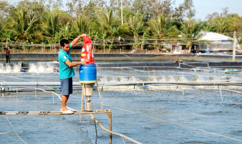 Quy hoạch nuôi tôm siêu thâm canh tập trung 