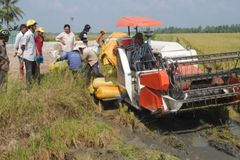 Sắc màu Tân Lộc