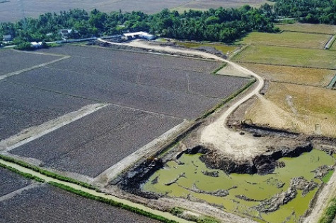 Buộc ngưng ngay hoạt động khai thác đất mặt trái phép
