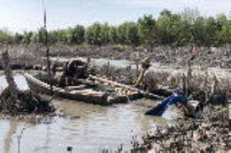 Phạt cá nhân 9 triệu đồng trong vụ thuê mặt nước nuôi sò ở Rạch Chèo