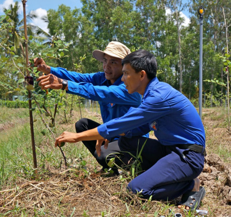 Tuổi trẻ sáng tạo, khởi nghiệp