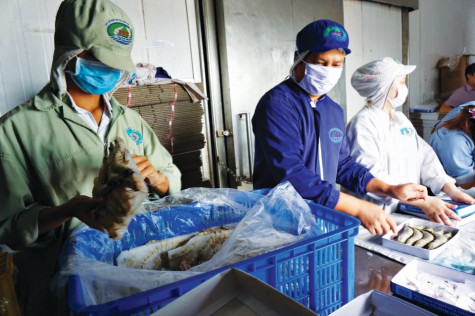 Khởi sắc thu ngân sách đầu năm