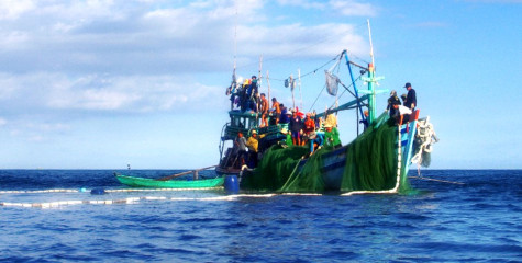 Tình người trên biển