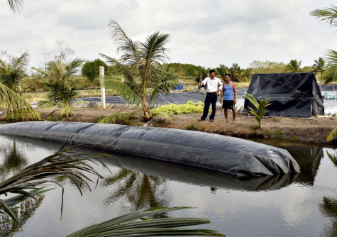 Ứng dụng biogas xử lý chất thải tôm nuôi siêu thâm canh