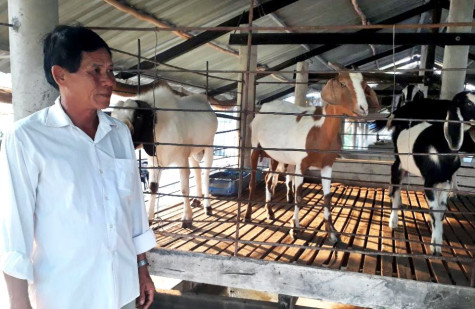 Hoàn thành đăng ký sản xuất ban đầu