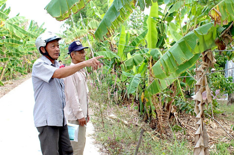 Ngán ngẩm điện chia hơi 