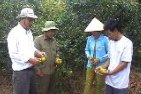 Giao khoán hơn 21.600 ha rừng và đất lâm nghiệp