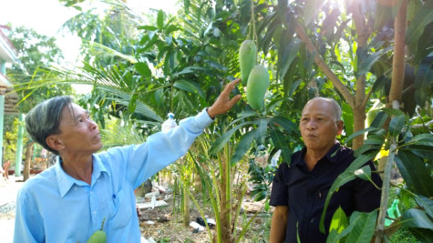 Đảng viên đi trước...