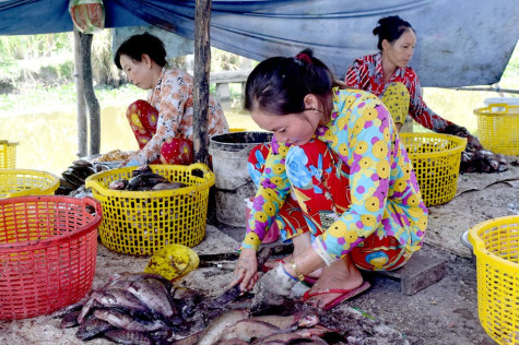 Nhộn nhịp làng khô Đá Bạc
