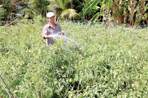Nỗ lực giúp dân thoát nghèo