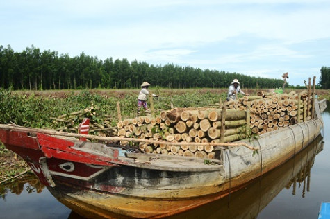 Chi phí vận tải cao ảnh hưởng lớn đến sức cạnh tranh của nền kinh tế