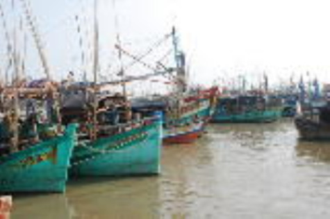 Thu hồi vĩnh viễn bằng thuyền trưởng, giấy phép hoạt động