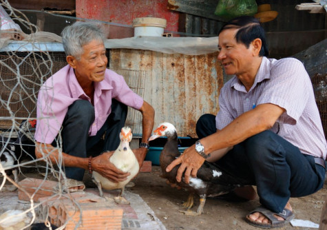 Hạnh phúc không khuyết