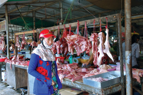 Heo hơi tăng giá, đừng vội tái đàn
