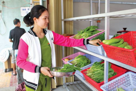 Trồng rau sạch  theo quy mô hộ gia đình