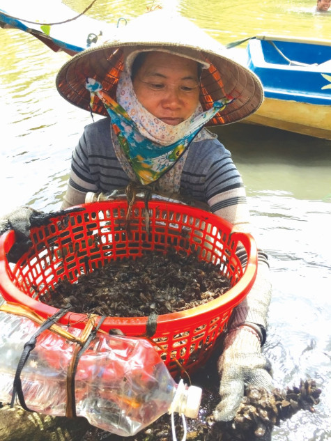Nghề khai thác hến trên sông