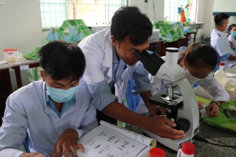 Ứng dụng UV vào nuôi tôm