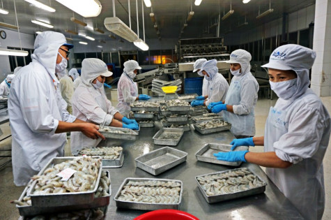 Giải pháp hỗ trợ pháp lý  cho doanh nghiệp