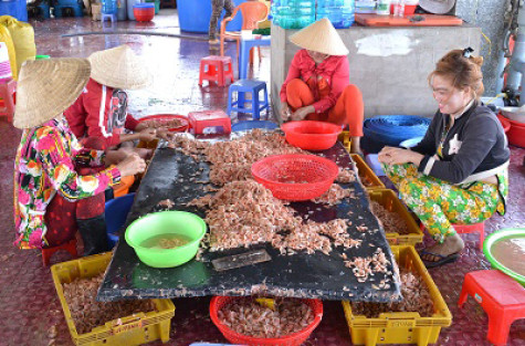 Thị trấn Rạch Gốc quyết tâm giảm nghèo