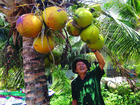 “3 kết hợp” thu lãi cao