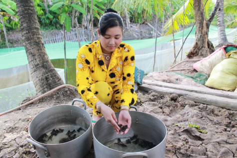 Chị Nguyễn Bích Thuỷ “giỏi việc nước, đảm việc nhà”