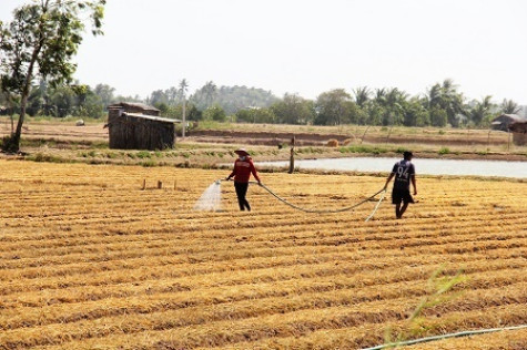 ĐBSCL từ sông ra biển