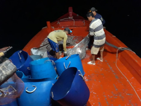 Vất vả nghề bạn chòi