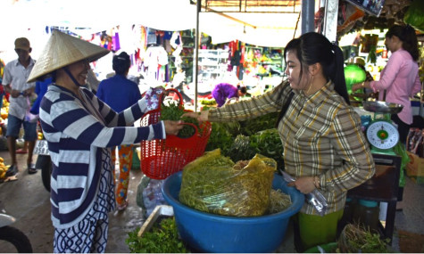 Phong trào hạn chế sử dụng túi ni-lông