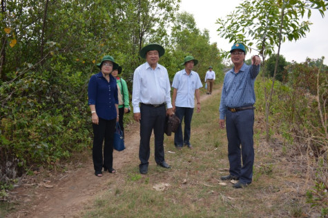 Tăng cường giám sát,  bảo đảm chất lượng công trình