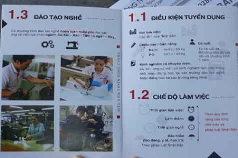 Năm 2018, đưa 100 lao động Cà Mau đi làm việc ở nước ngoài