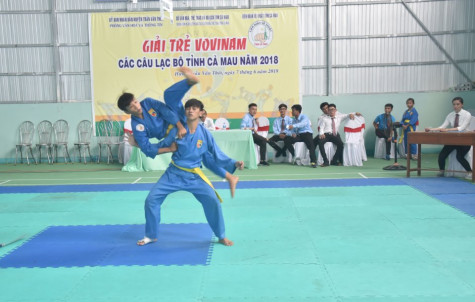 Hơn 200 vận động viên tham gia giải trẻ Vovinam