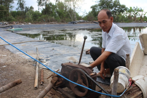 Tôm thẻ nằm... chờ giá
