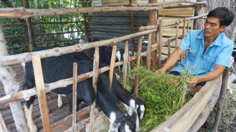 Vươn lên  từ dự án giảm nghèo
