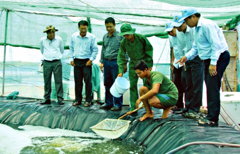 Cẩn trọng khi lựa chọn nhà đầu tư
