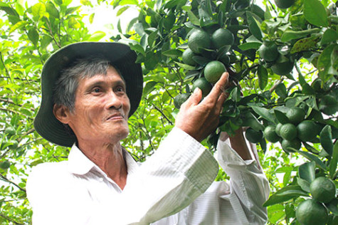 Quả ngọt giữ rừng