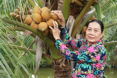 Thi đua làm theo Bác