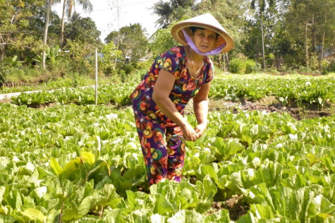 Xây dựng gia đình ấm no, hạnh phúc