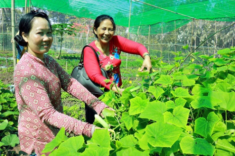 Thực phẩm sạch  từ nhà ra phố