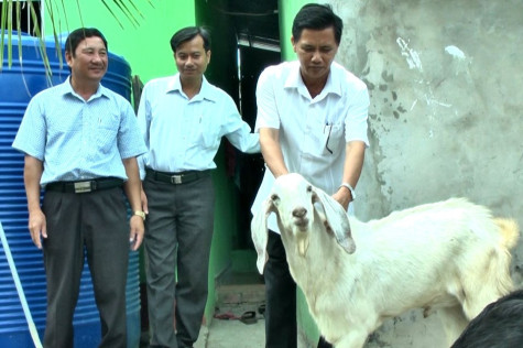 Nâng cao hiệu quả  giám sát và tiếp xúc cử tri