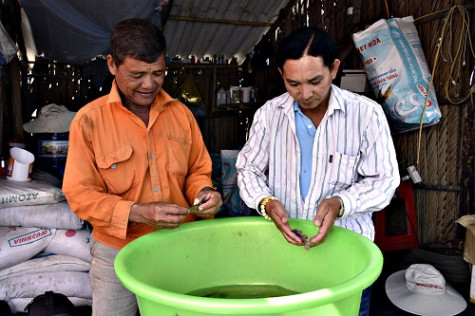 Ông giám đốc hỗ trợ xã viên làm giàu