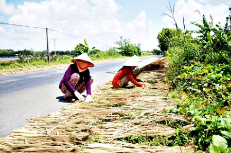 Thoát nghèo nhờ cây trái hoang dã
