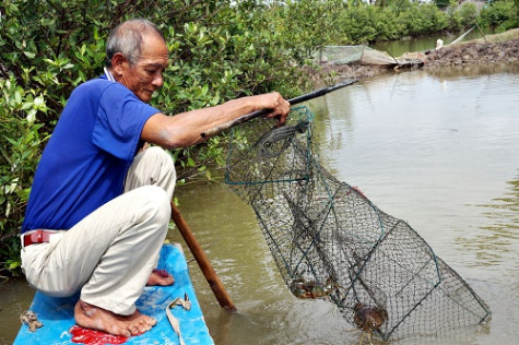 Giúp đảng viên khó khăn phát triển kinh tế
