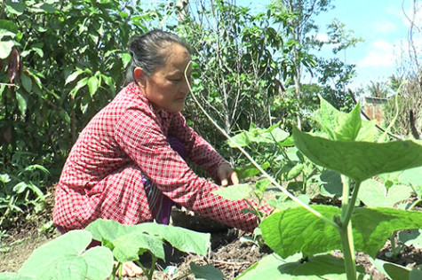 Tân Trung khó đạt chuẩn NTM vì ô nhiễm  môi trường