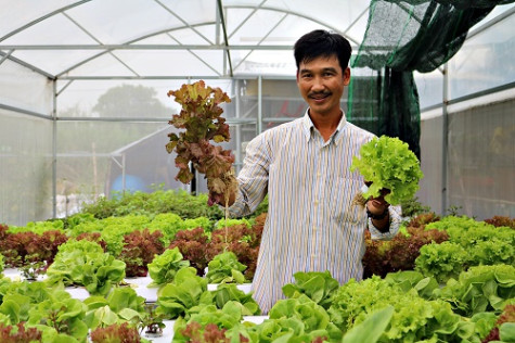 Đưa thiết bị trồng rau sạch đến với người dân